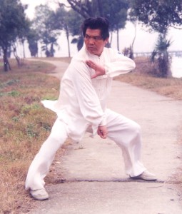 Baji Quan Image 2