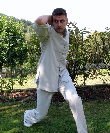 Baji Quan Image 1